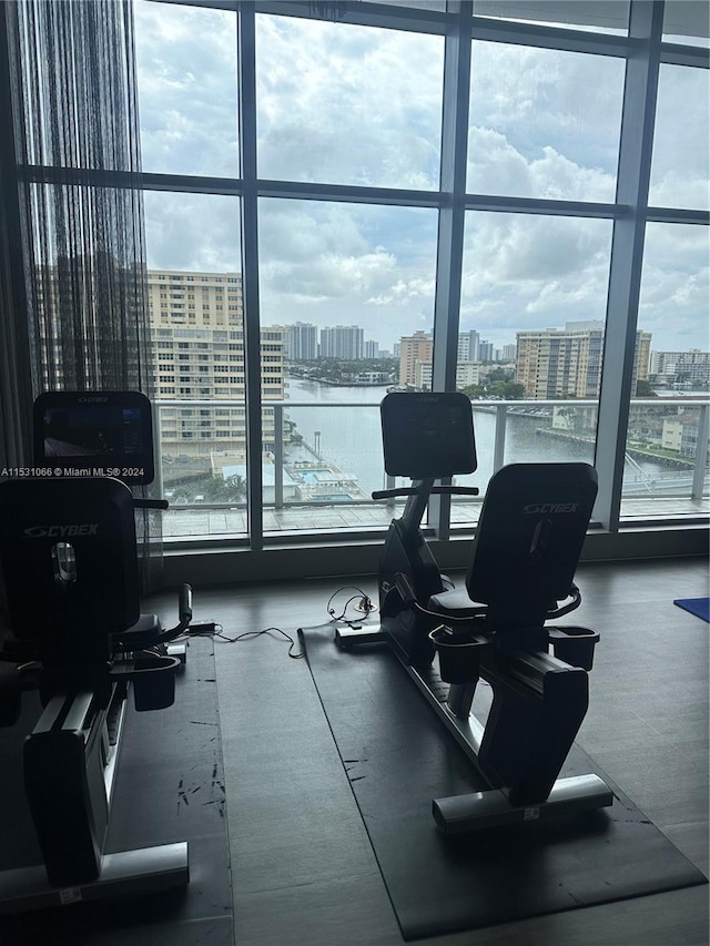 exercise room with floor to ceiling windows