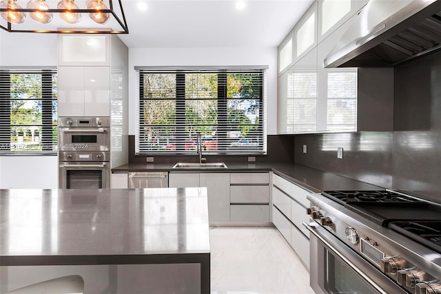 kitchen with ventilation hood, white cabinets, appliances with stainless steel finishes, and sink