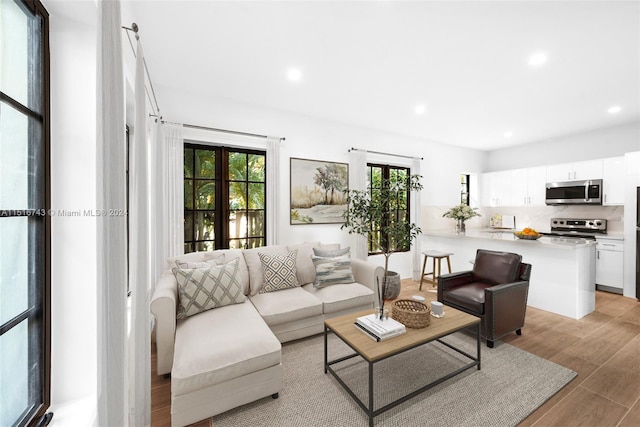 living room featuring french doors and light hardwood / wood-style flooring