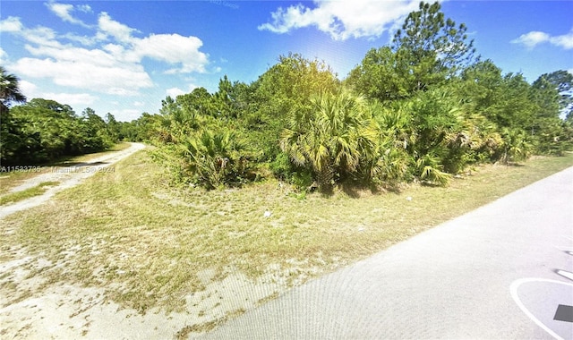 133 Elm Ave S, Lehigh Acres FL, 33974 land for sale