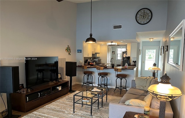 living room with a high ceiling and wood-type flooring