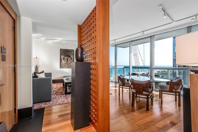 interior space featuring light hardwood / wood-style floors, rail lighting, and a water view