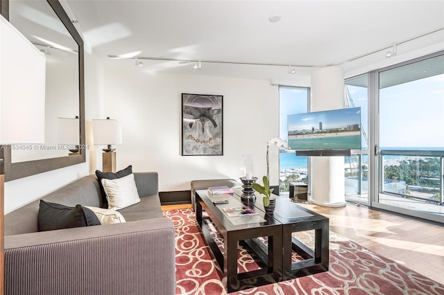 living room featuring hardwood / wood-style floors and rail lighting