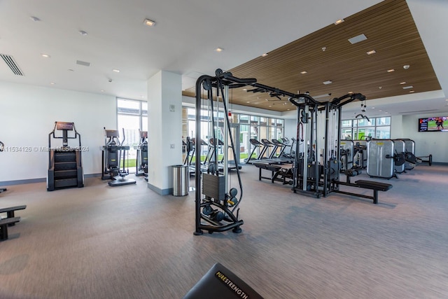 exercise room featuring plenty of natural light and carpet flooring