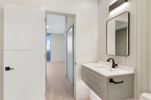 bathroom featuring toilet, vanity, and wood-type flooring