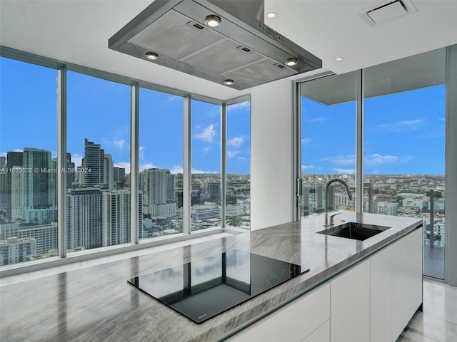 kitchen with a wall of windows, white cabinetry, and sink