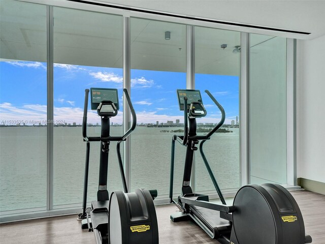 exercise area featuring light hardwood / wood-style floors