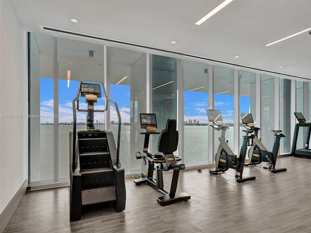 gym with a wall of windows and wood-type flooring