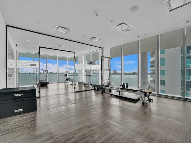 workout area featuring a wall of windows, a wealth of natural light, and a water view