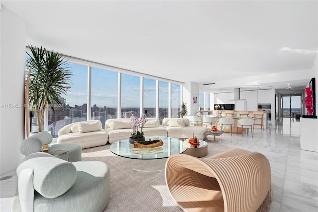 living room featuring a wall of windows and a healthy amount of sunlight