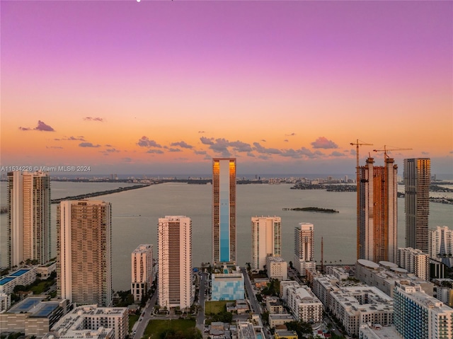 property's view of city featuring a water view