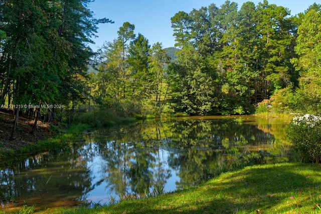 property view of water