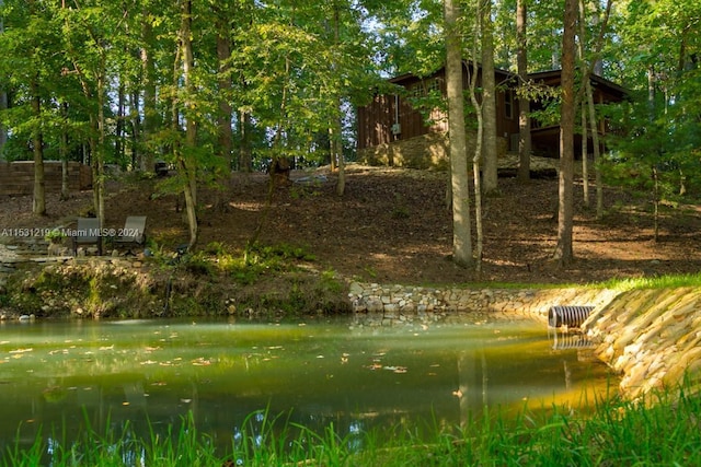 view of home's community with a water view