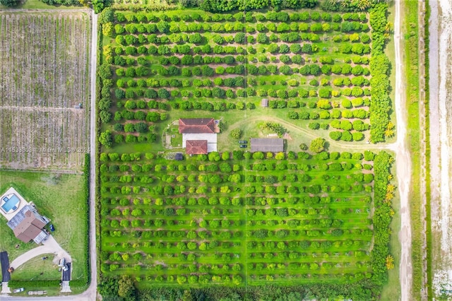 drone / aerial view featuring a rural view