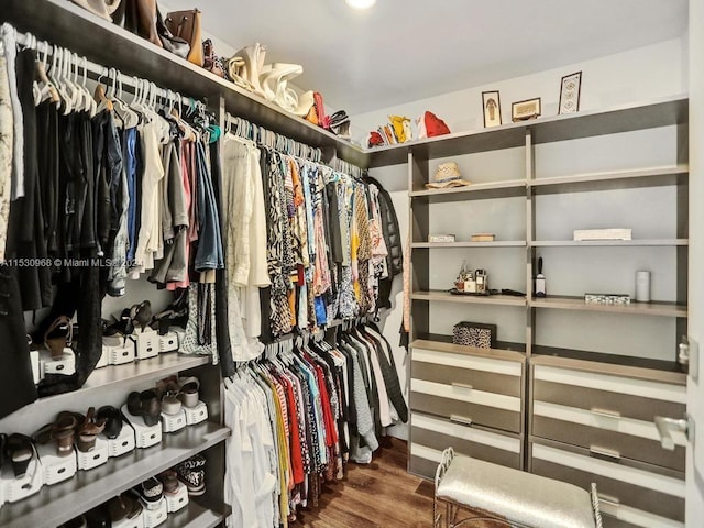 spacious closet with wood-type flooring