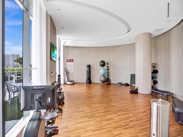 exercise room featuring light hardwood / wood-style floors