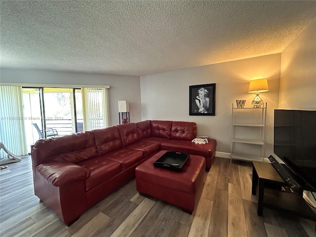 living room featuring hardwood / wood-style floors and a textured ceiling