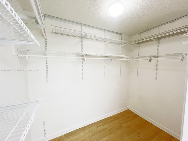 walk in closet featuring hardwood / wood-style floors