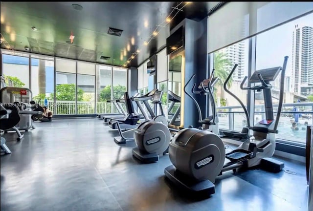 workout area featuring a wall of windows