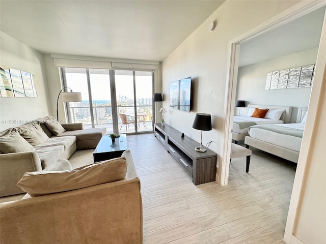 living room featuring light hardwood / wood-style flooring