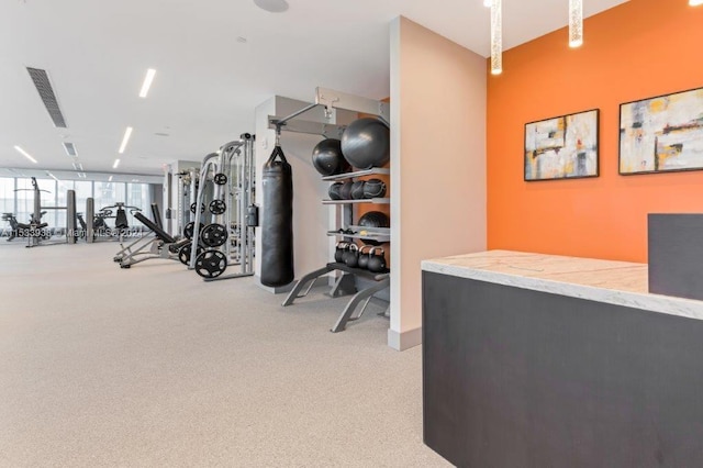 exercise room featuring light colored carpet