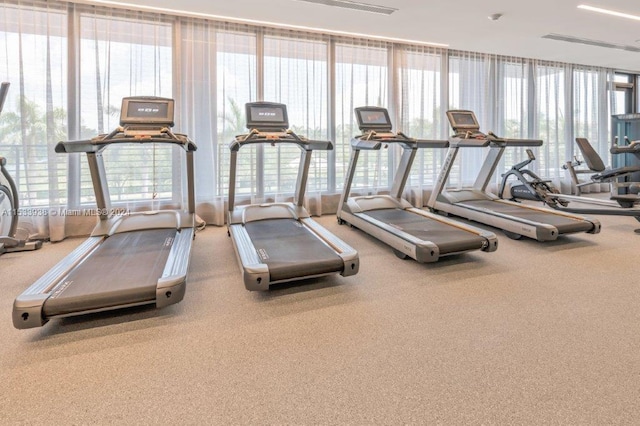 gym featuring a healthy amount of sunlight and carpet flooring