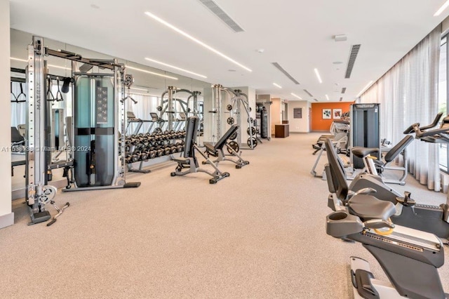 gym with light colored carpet