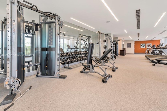 workout area with light carpet and a healthy amount of sunlight