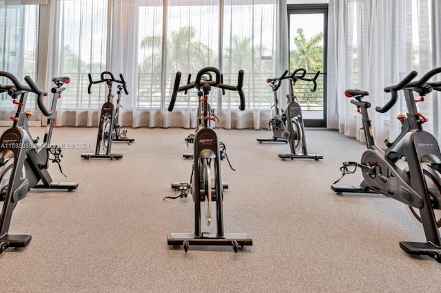 gym featuring plenty of natural light and carpet flooring