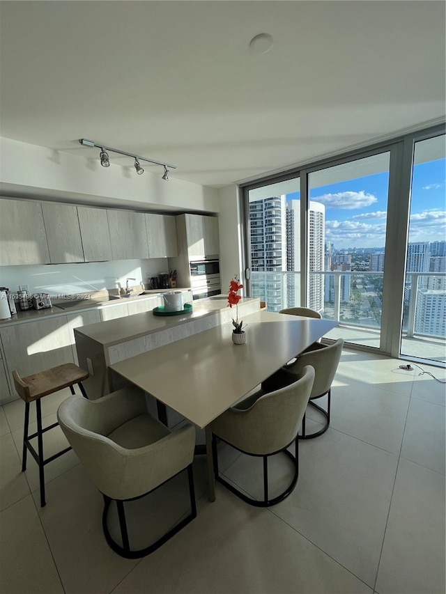 dining area with plenty of natural light, floor to ceiling windows, and track lighting