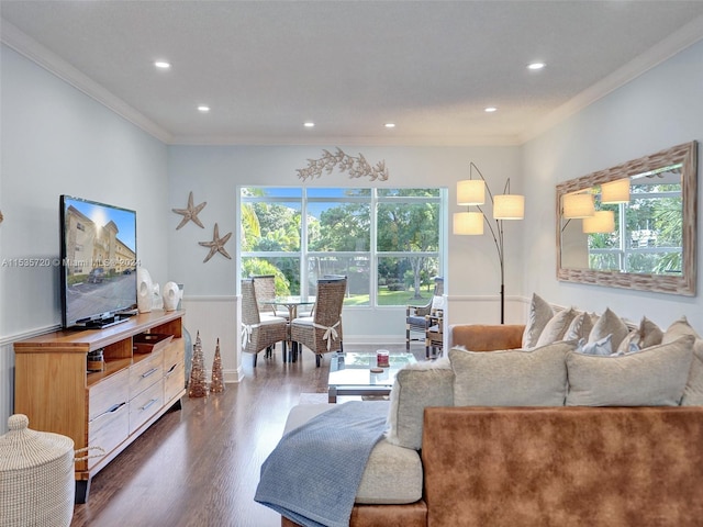 living room with dark hardwood / wood-style floors and crown molding