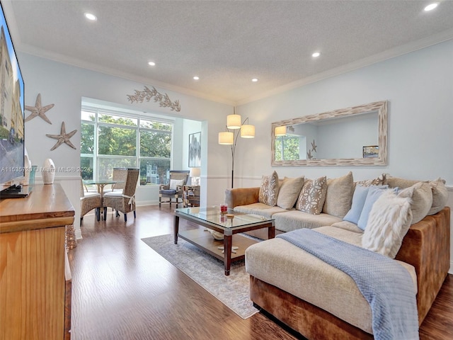 living room featuring hardwood / wood-style floors, crown molding, and a textured ceiling