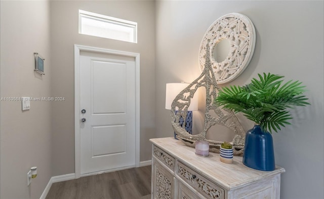 entryway with hardwood / wood-style flooring