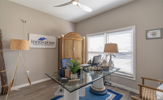 office area featuring ceiling fan and dark hardwood / wood-style flooring