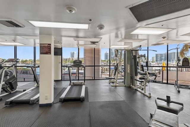 gym with expansive windows