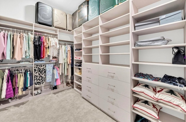 spacious closet with light carpet