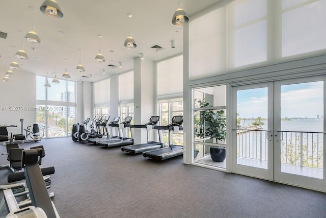 workout area with carpet floors, a healthy amount of sunlight, and french doors