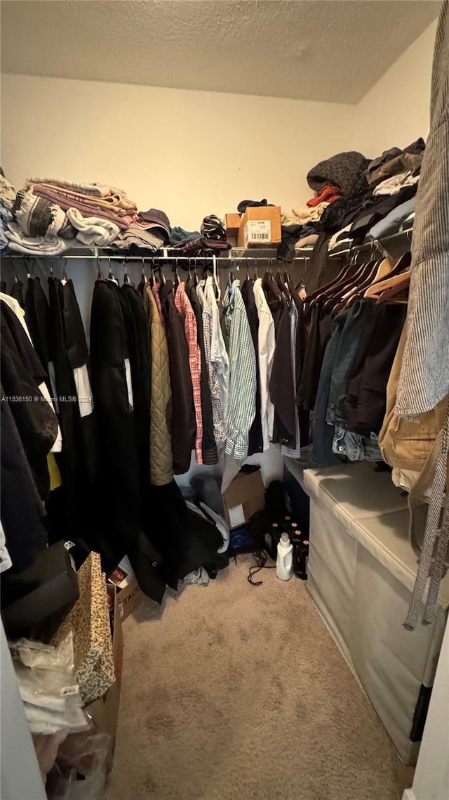 spacious closet featuring carpet flooring