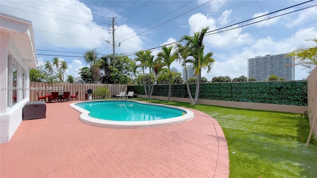 view of swimming pool featuring a lawn and a patio