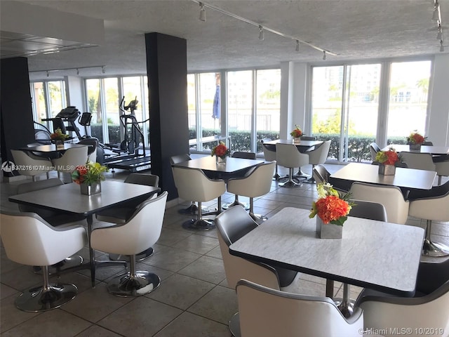 dining space featuring tile floors, a textured ceiling, a healthy amount of sunlight, and track lighting