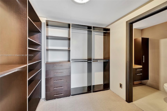 spacious closet featuring light carpet