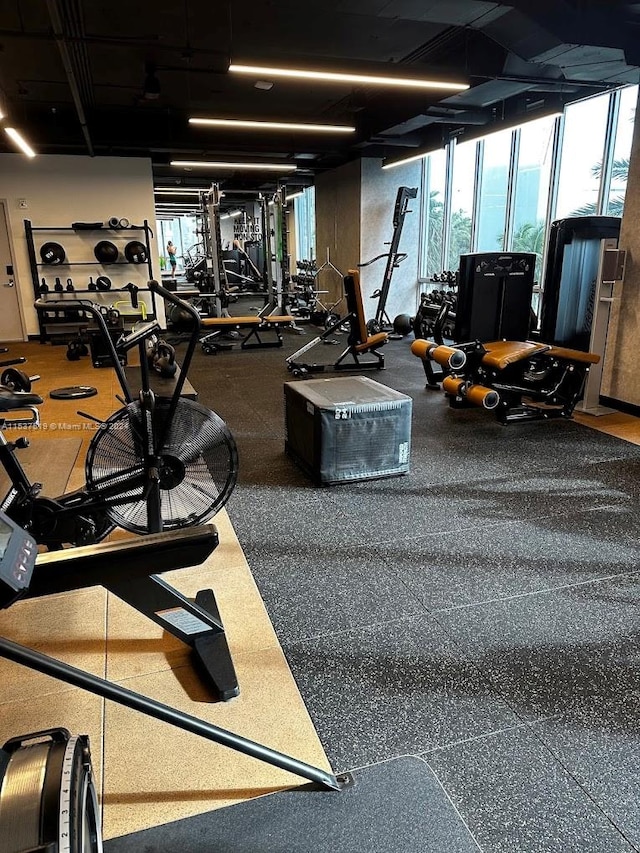 workout area featuring a wealth of natural light