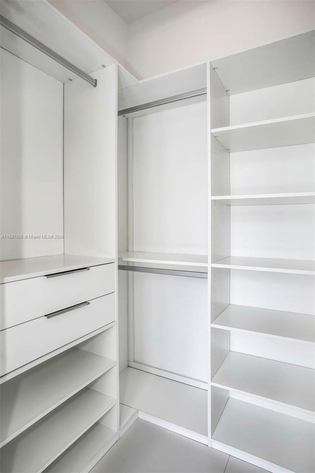 view of spacious closet