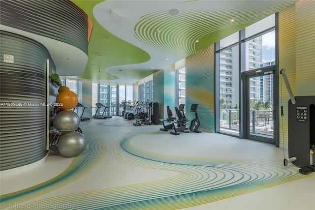 gym featuring a wall of windows