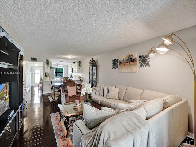 living room with a textured ceiling and dark hardwood / wood-style flooring