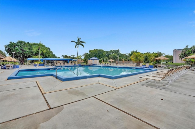 view of swimming pool featuring a patio