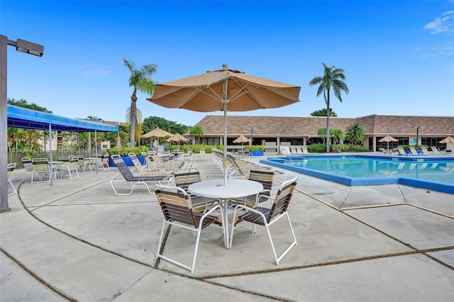 view of pool with a patio