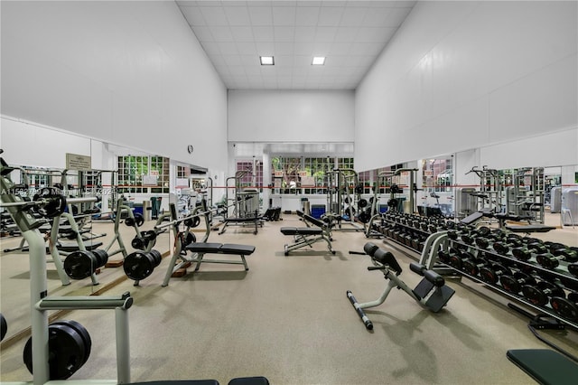 gym featuring a paneled ceiling and a high ceiling