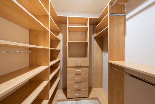 view of walk in closet