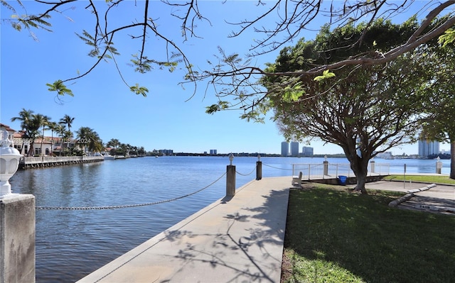 dock area featuring a yard and a water view